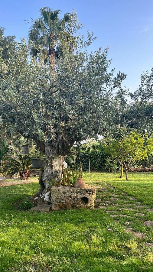 לינה וארוחת בוקר Castelvetrano La Finestra Sul Limone מראה חיצוני תמונה