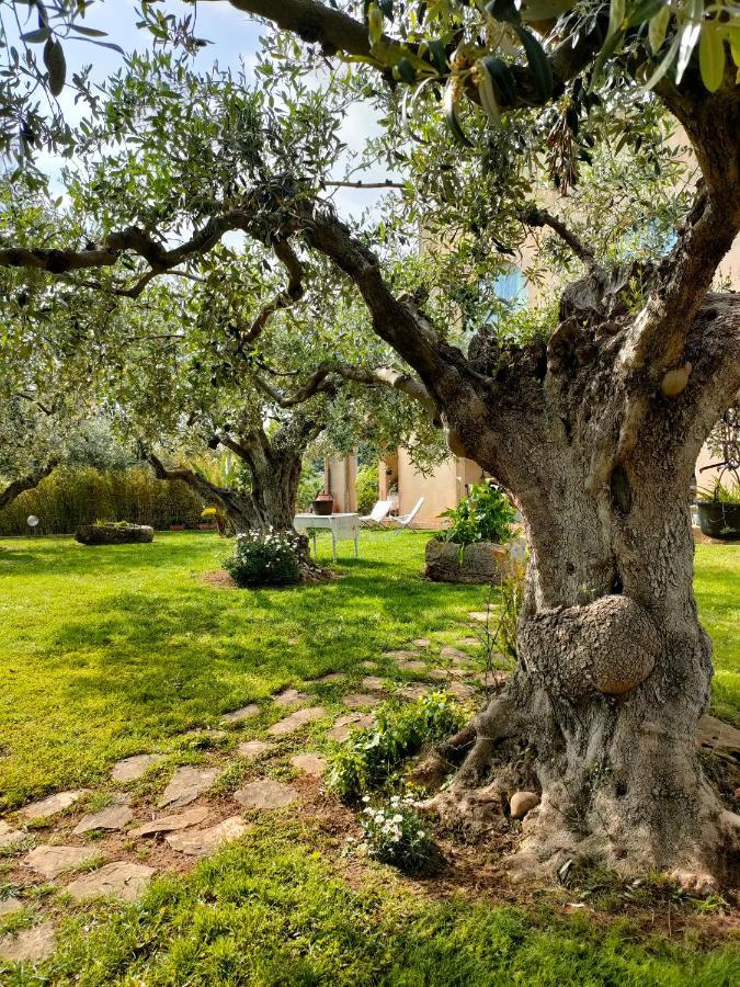 לינה וארוחת בוקר Castelvetrano La Finestra Sul Limone מראה חיצוני תמונה