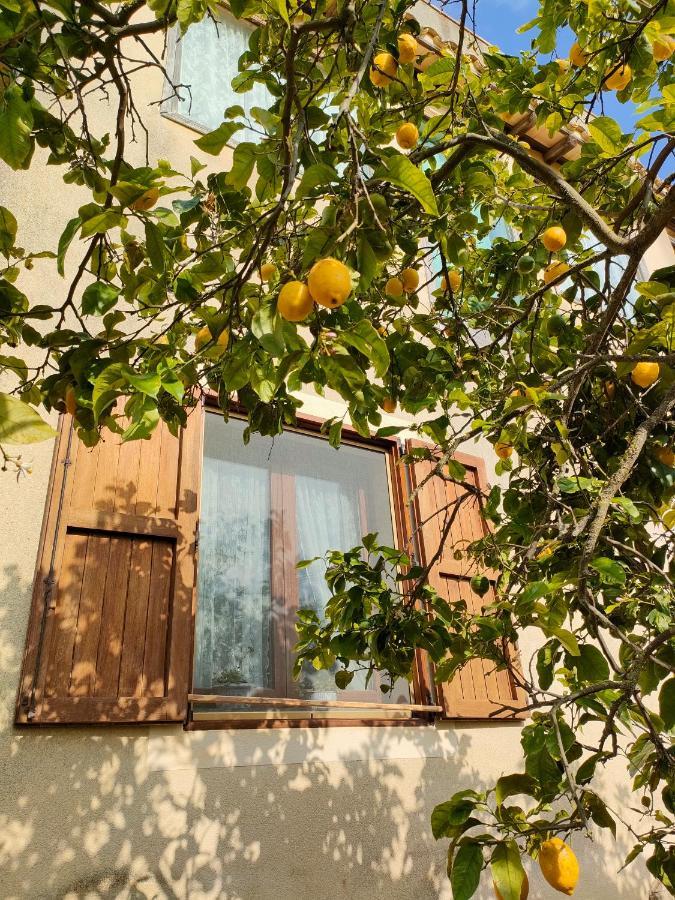 לינה וארוחת בוקר Castelvetrano La Finestra Sul Limone מראה חיצוני תמונה