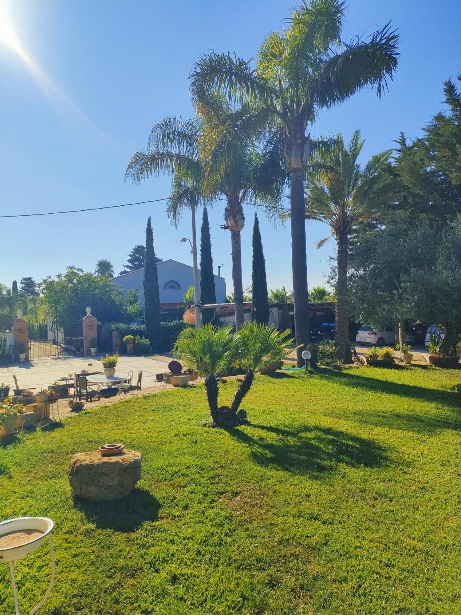 לינה וארוחת בוקר Castelvetrano La Finestra Sul Limone מראה חיצוני תמונה
